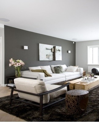 These two shades harmonize in living rooms decorated in different styles: classic, art deco and others.