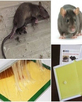 The funds released are safe, effective and meet the stated promises.