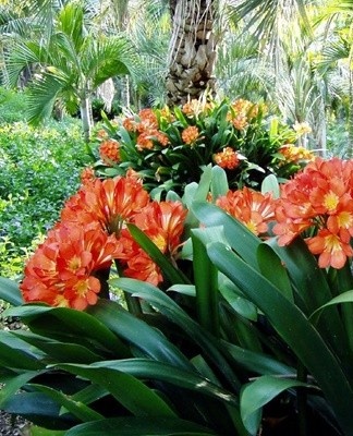 Brown spots are a sign of an incipient fungal disease.