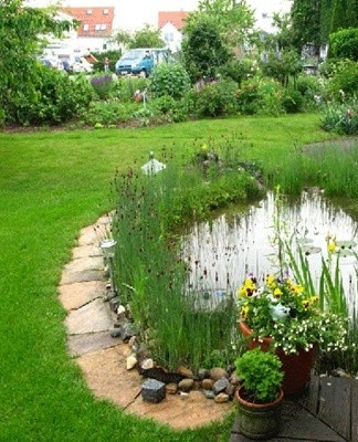 artificial pond