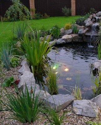 In winter, the decorative pond freezes.