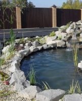 How to clean a pond in the country with your own hands, step-by-step instructions and maintenance rules
