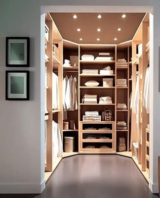 The main purpose of the dressing room is the functional storage of things, which allows a quick search for the desired item.