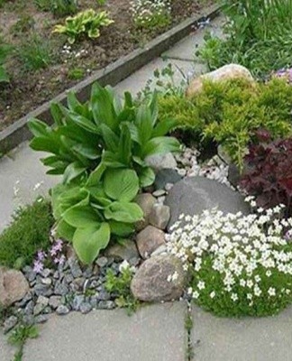 do-it-yourself rock garden