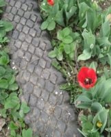 DIY instructions for creating a garden path from tires