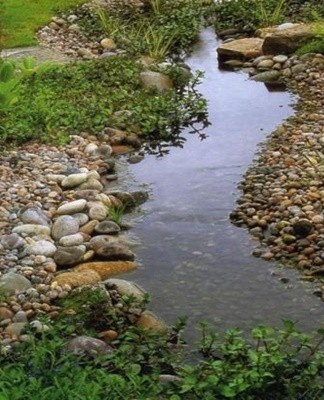 beautiful stream