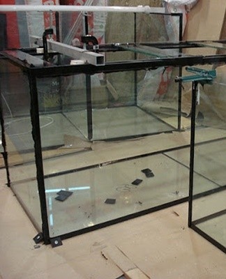 glass fish tank