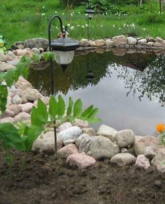 The chemical method of cleaning is suitable for cases where no aquatic plants or fish live in the pond.