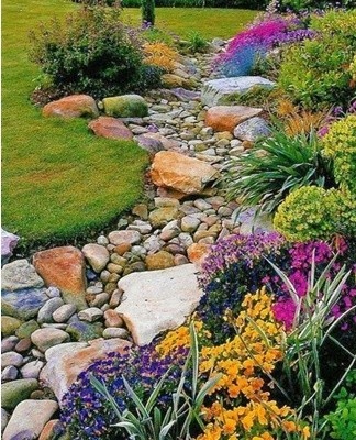 To decorate a dry stream, herbaceous perennials or ground covers are usually used.