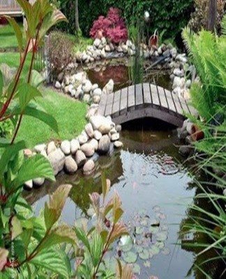 dacha pond
