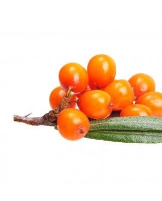 Fresh berries do not keep all winter.