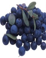 How to keep blueberries at home for the winter, rules and best ways