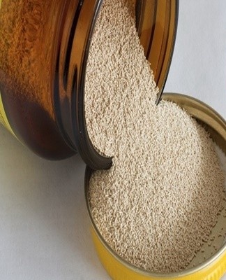 dry yeast