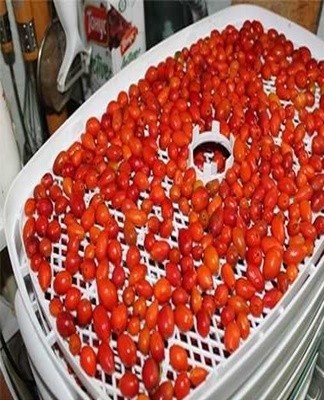 rosehip drying
