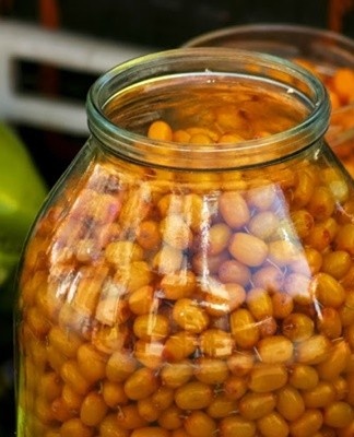 When urinated, organic acids from sea buckthorn berries pass into the water and serve as a preservative.