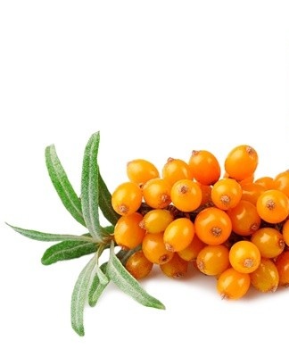 Per kilogram of sea buckthorn - 200 milliliters of water.