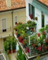 Ideas for arranging a balcony, what flowers to plant and design rules