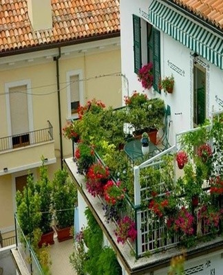 Ideas for arranging a balcony, what flowers to plant and design rules