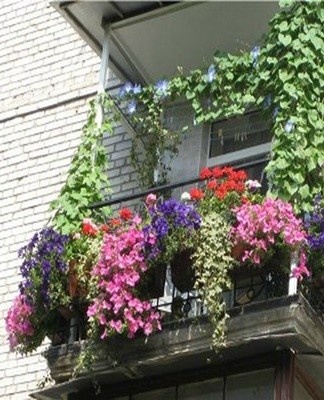 beautiful balcony