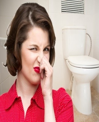 How to get rid of an unpleasant smell in the toilet, TOP 20 best ways and methods