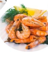 How much can you and how to properly store shrimp in the freezer and signs of spoilage