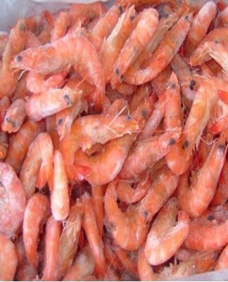 frozen shrimp