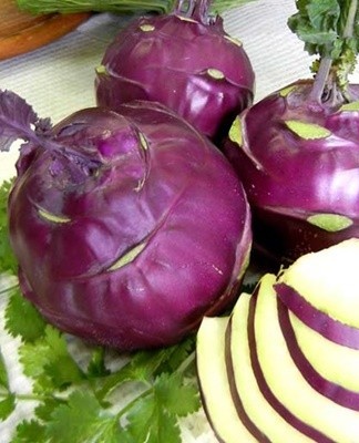 How to properly store kohlrabi and methods at home