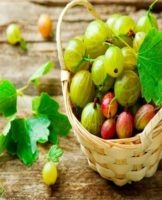 How and how much you can save gooseberries at home, means for the winter