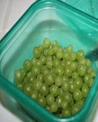 It is recommended to take containers with a tight lid, which will prevent microorganisms from entering the container from the outside.