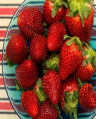 Strawberries are often grown alone in home gardens.