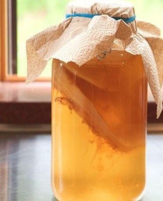 How and where to properly store kombucha at home and when