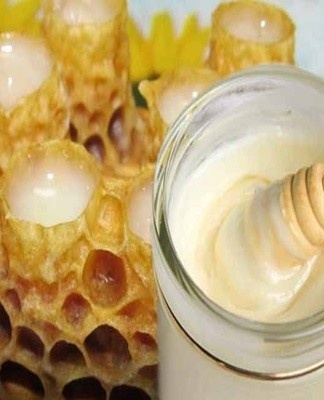 4 ways how and where you can store royal jelly