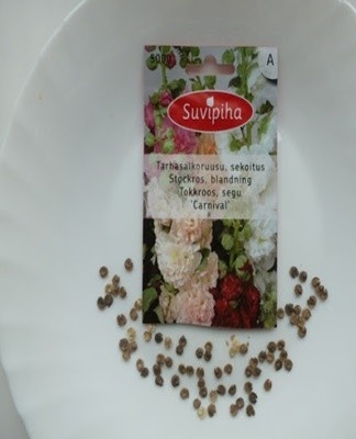 rose seeds