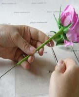 It is better to glue foamiran, the rules for choosing the composition and tips for work