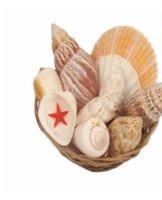 How to clean a hull correctly and quickly and the best ways to do it at home