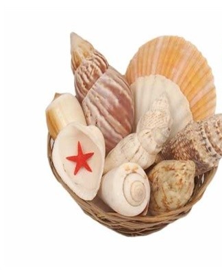 How to clean a hull correctly and quickly and the best ways to do it at home