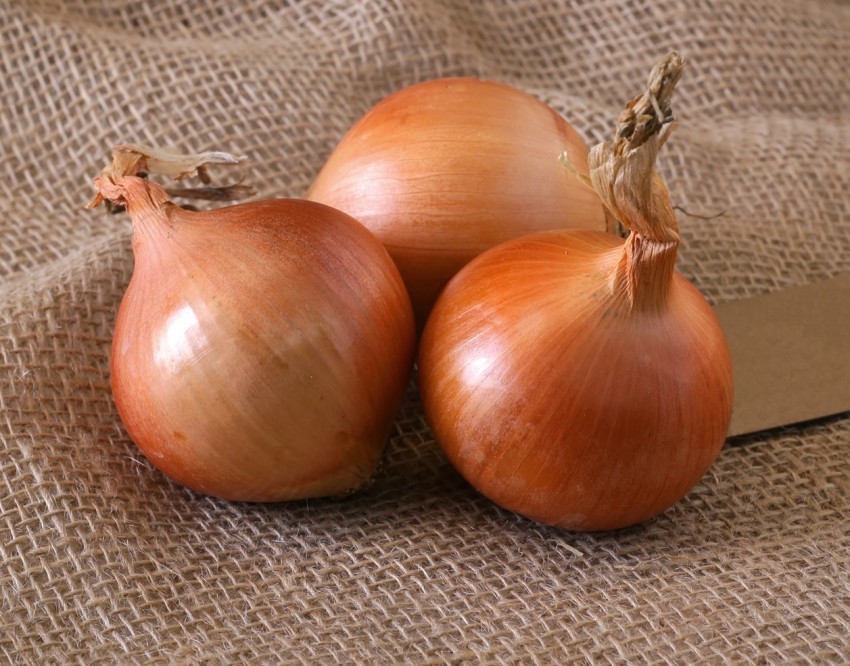 Onion