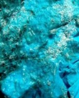 By mixing what paints you can get a turquoise color and its shades