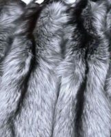 How to dye fur at home, the 6 best products and instructions