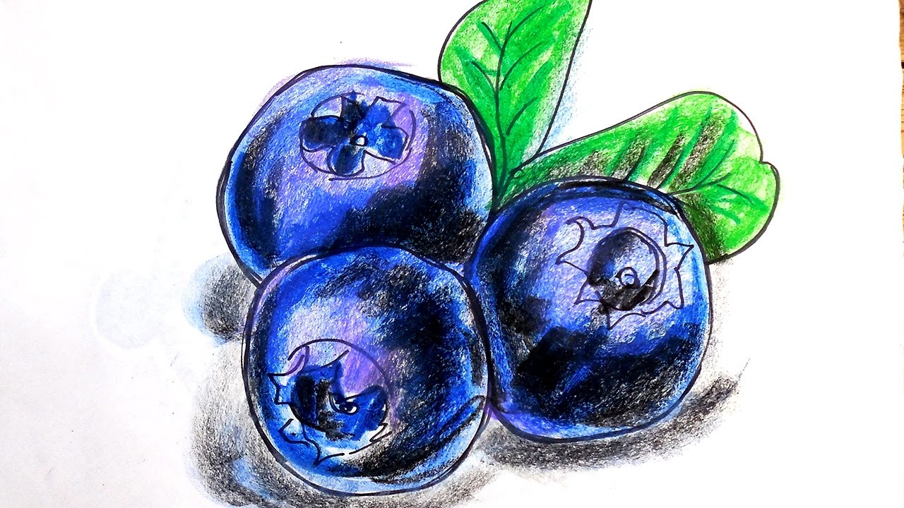 drawing berries