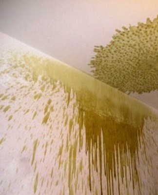 sinks to the ceiling