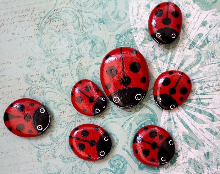 ladybug