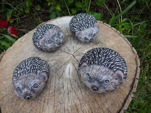 hedgehog on a stone