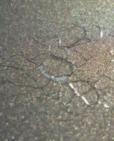 13 main paint defects, their causes and how to eliminate errors yourself