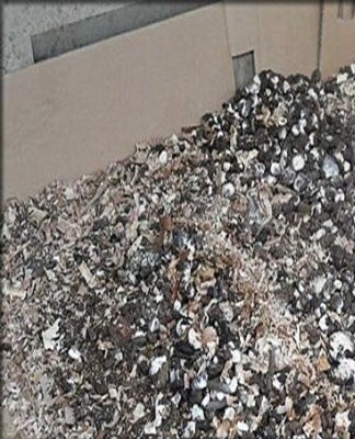 Bird droppings contain corrosive substances that can erode paintwork and expose body metal.