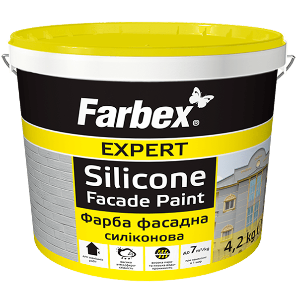 silicone paint
