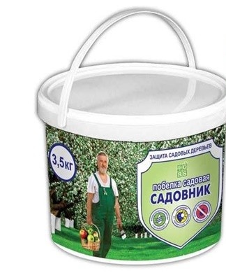 Painted trees are aesthetic.