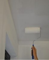 Is it possible to paint drywall without putty, preparation and technology