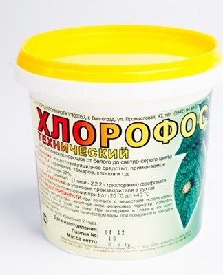 To combat mites, it is recommended to use a solution of "Chlorophos" in a concentration of 3%.
